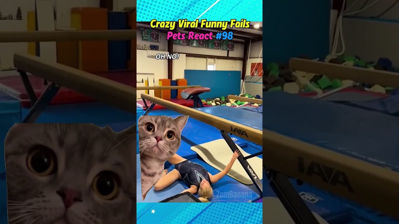 Crazy Viral Fails With Pet Reactions 98 