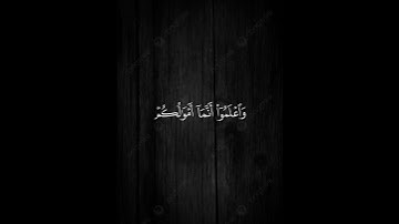 ياأيها الذين آمنو لا تخونوا الله🍁القارئ محمد اللحيدان 🍁سورة الانفال