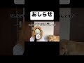 シマウマからの大事なお知らせ#こがマスク#小顔マスクマンママ#シマウマ#犬 #アフレコ#shorts #PR