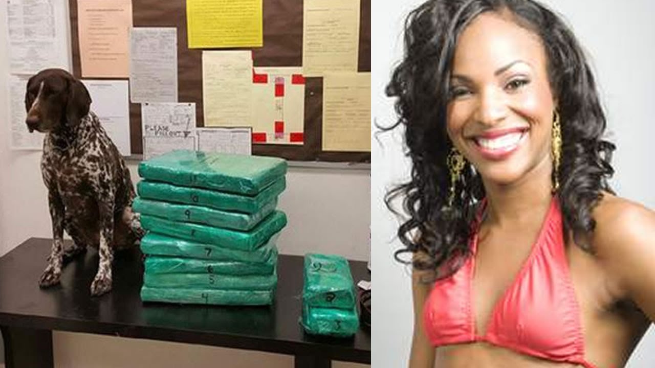 Jamaican Beauty Flight Attendant Arrested Smuggling $3M Cocaine Into LAX news reporter job description