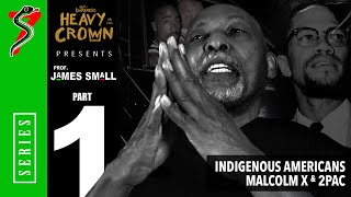 Heavy is the Crown: Prof. James Small | Pt. 1 - Indigenous Americans, Malcolm X, & 2Pac