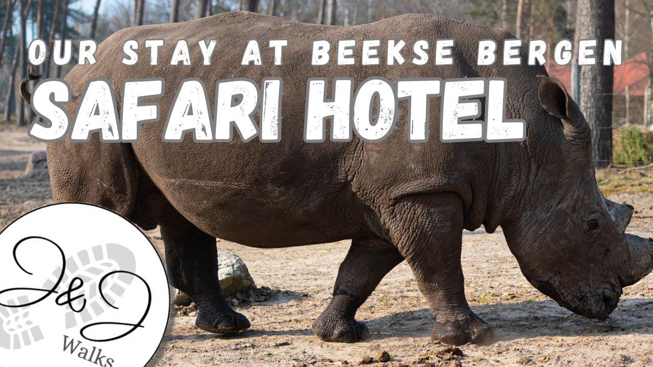 Beekse Bergen Safari Hotel, a magnificent stay