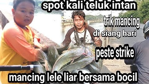 mancing lelel bersama bocil  spot sungai telukintan jakarta