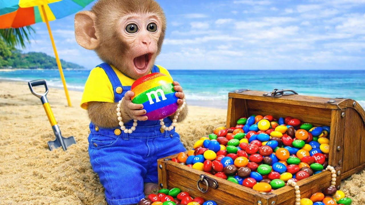 Monkey Mono finds a treasure chest washed ashore with many gifts inside!! | Mono Monkey TV