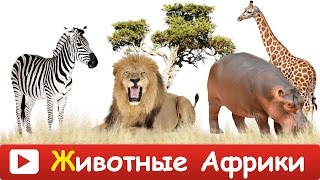 ► ЖИВОТНЫЕ АФРИКИ.  Дикие животные. Учим животных из Африки. Обучающее видео.(В этом видео 