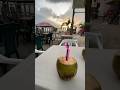 Chámpeta, coconut water and the sea of tolu 🍹🏝️🥥#champeta #coconutwater #caribbean