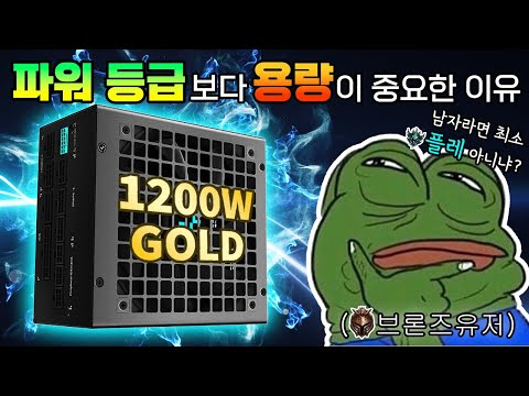 850W 플레? 1200W 골드?
