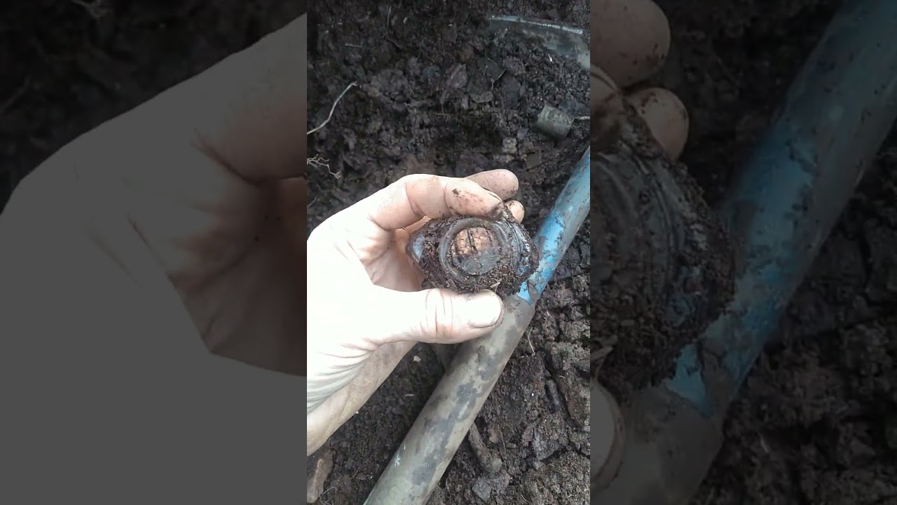 Double score!! bottle dump