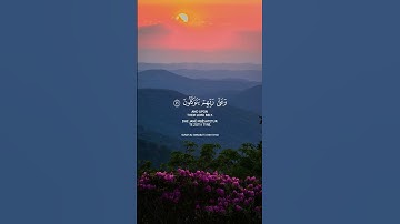 القارئ عبدالرحمن مسعد - دقيقة مليئة بالجمال🍃❤️ ﴿الذين صبروا وعلى ربهم يتوكلون﴾ سورة العنكبوت #quran