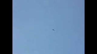 Ropen (Flying Dinosaur)