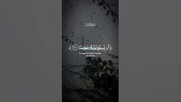 سورة النساء | القارئ عمر ضياء الدين #اكسبلور #قرآن