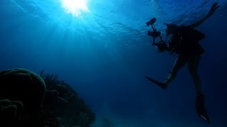25 Surprising Things You Might Not Know About Earth's Oceans