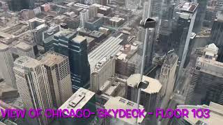 Leila’s first visit to Chicago Skydeck #skydeck #learnandexplorewithleila #chicagodowntown #viral