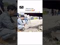 so cute jk😘💞ll#bts#btsarmy #shortvideo
