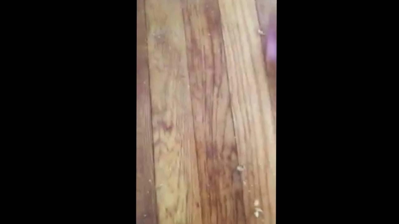 How To Use Walnuts To Remove Scratches In Wood YouTube