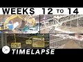 3-week construction time-lapse: Ⓗ Weeks 12 thru 14: Excavation continues digging deeper