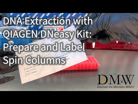 DNA Extraction with QIAGEN DNeasy Kit: Prepare and Label Spin Columns