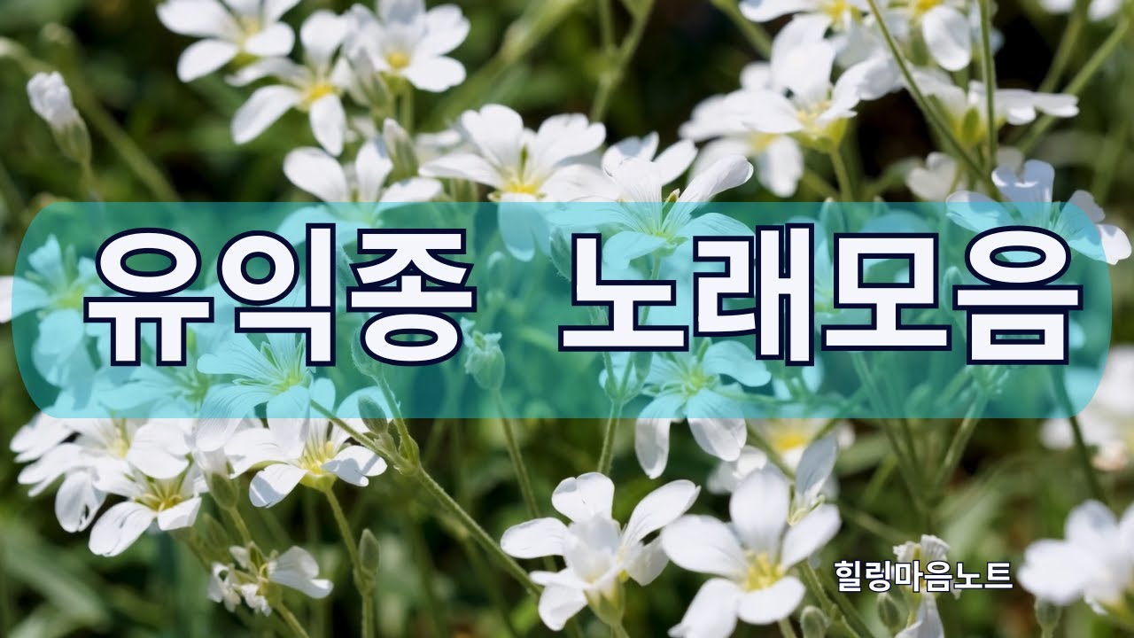 유익종노래모음 