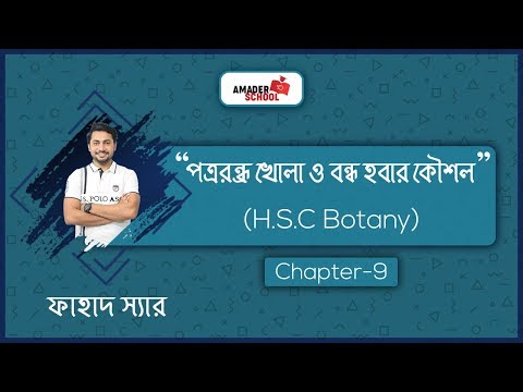 ভিডিও: ক্রুসিফেরাস পরিবারের উদ্ভিদ