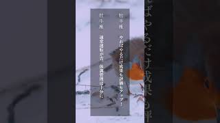 焦らず、無理せず、今の自分に合ったペースを 12星座別メッセージ  #12星座占い #占い #星読み #星座別メッセージ #開運 #運勢チェック #今週の運勢 #星のメッセージ #運気アップ