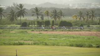 Vidéo de la course PMU PRIX DES MATOUTOUS