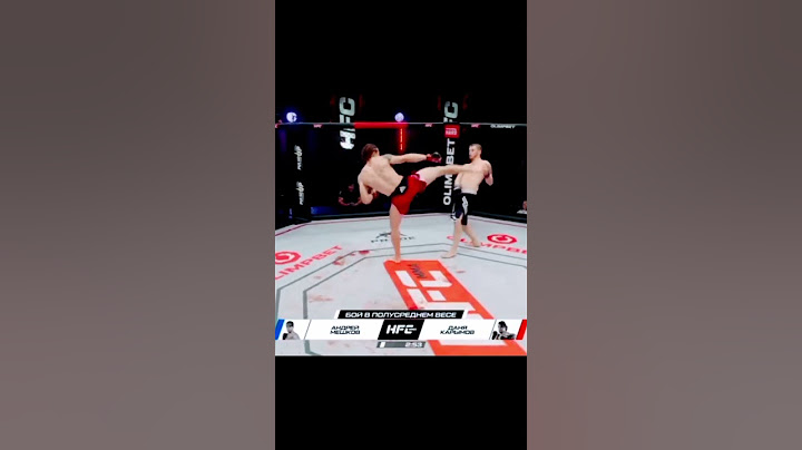 Анимешник ( MMA) & Панда ( карате)