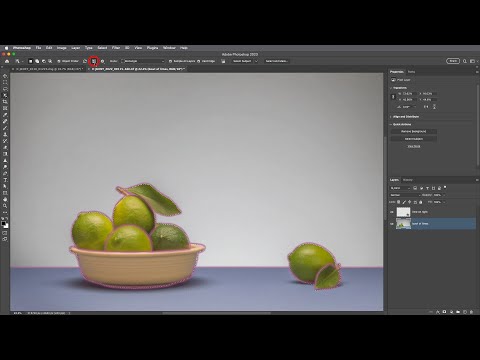 Using the Object Selection Tool to Quickly Edit Images in Photoshop