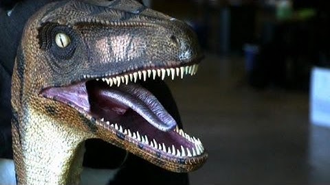 Inside Dropbox HQ: Is This Cooler Than Google?