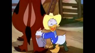 Donald Duck   Old MacDonald Duck Full Episodes