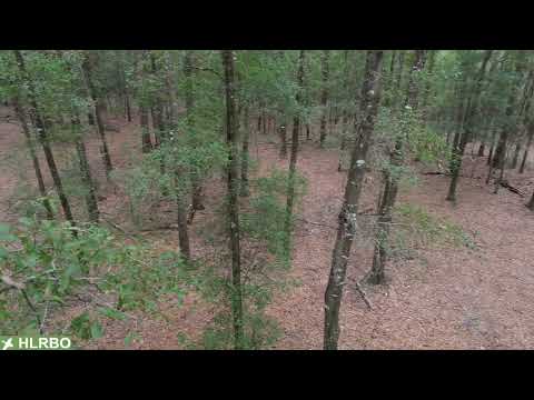 Alabama Hunting Lease Land