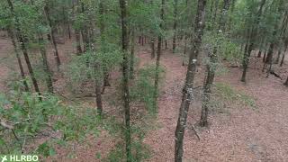 Alabama hunting lease now available on HLRBO!