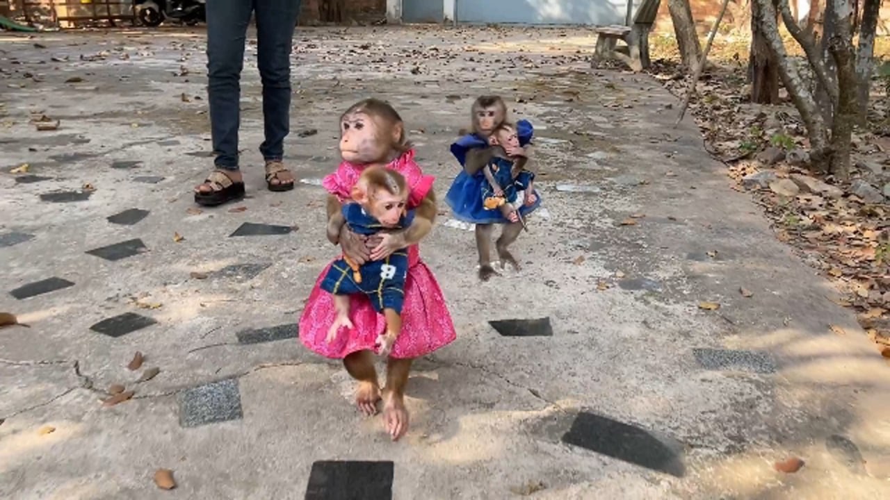 Chichi Hug Ronaldo & Linda Also Hugging Selena Running Fast For Him Feed Twin