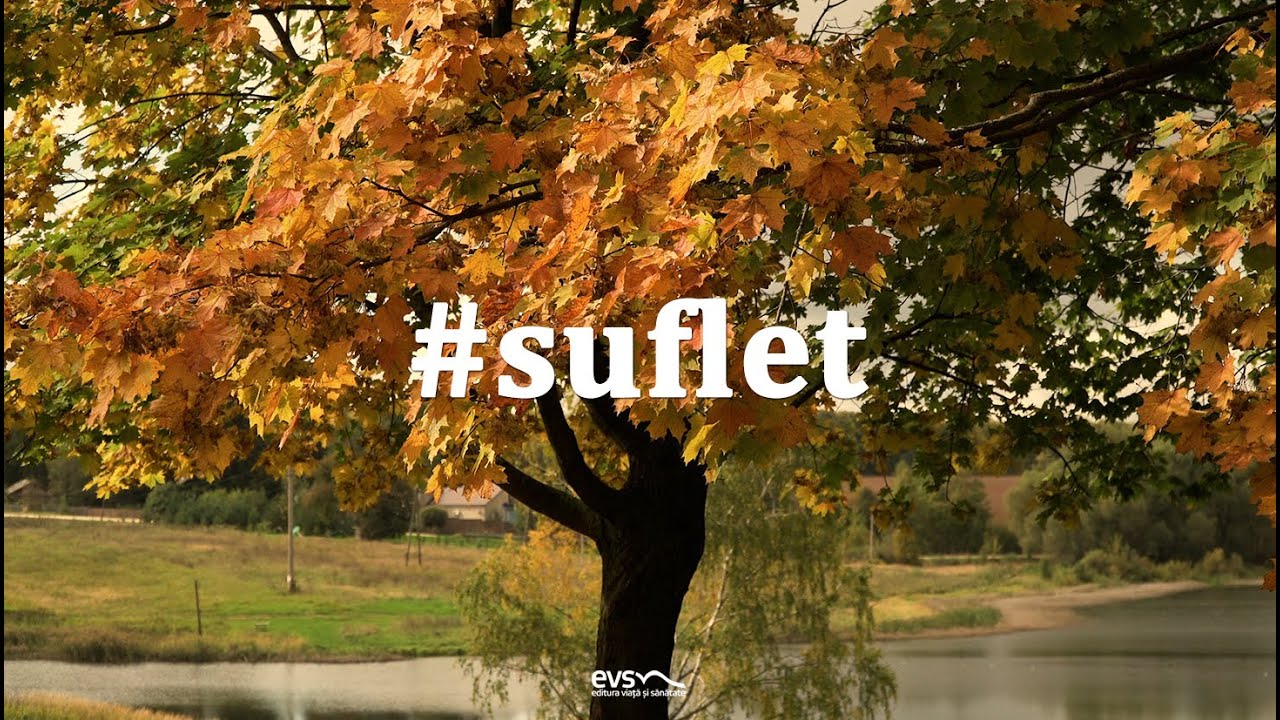 Suflet
