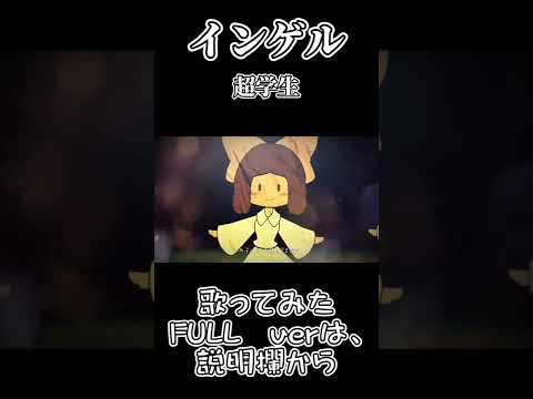 インゲル／陽莪【歌ってみた！！！】