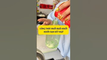 Công thức đuổi ruồi khiến bạn bất ngờ!   #kinhcanreview #diy #meovathuuich