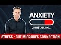 The Brain-Gut Connection: Anxiety & Stress Coming from Missing Gut Bacteria – Dr.Berg
