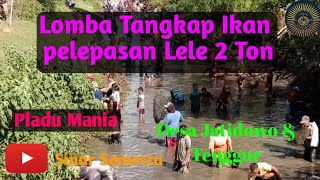 Lomba Tangkap Ikan Pladu mania Desa jatidowo \u0026  DesaTenggur @sinarsemesta