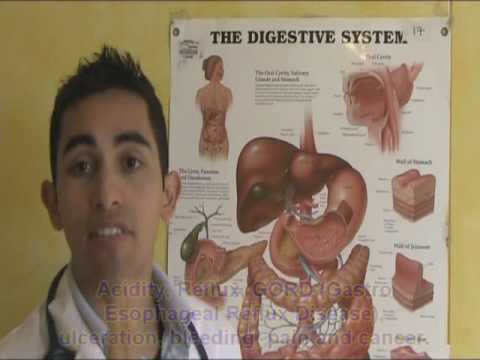 PART 1. The Digestive System. How does it work? Anatomy and physiology