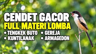 🔴 Cendet Gacor Full Materi Lomba Cocok Untuk Masteran Candet Bahan Trotolan