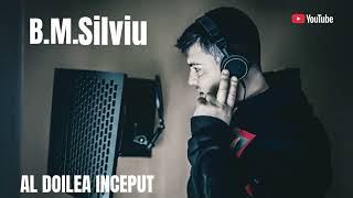 B.M.Silviu-Foc