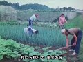 島倉千代子・村田英雄・花村菊江・五月みどり・岡田ゆり子/日本よいとこ/1960年
