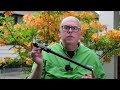 Beginning of video
