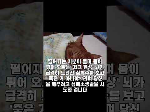 🧠 알고 보면 나도 천재? 내 몸의 소름 돋는 본능 TOP 5#인체의신비 #본능 #심리학 #뇌과학 #상식 #랭킹 #지식쇼츠 #유튜브쇼츠 #1분상식 #소름주의