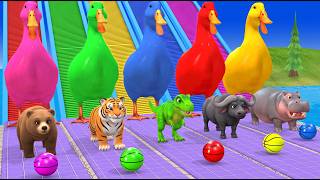 Long Slide Game with Dinosaur Lion Cow Hippopotamus Gorilla 3d Animal Game Funny 3d Animals Long Slide Game with Dinosaur Lion Cow Hippopotamus Gorilla 3d Animal Game Funny 3d Animals