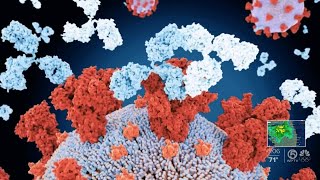 Omicron sweeps across nation, now 73% of US COVID-19 cases