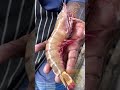Tiger prawn shorts telugu asmr satisfying foodbadger chennaifood telugufoodreview prawn