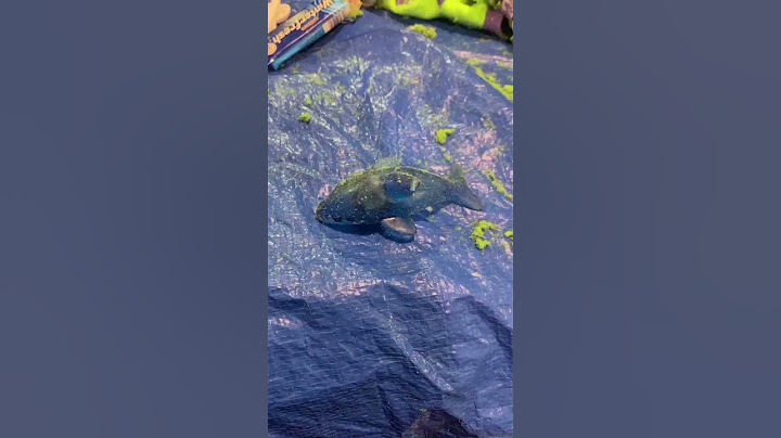 Lost Items Found at the Bottom of Giant Foam Pit || ViralHog
