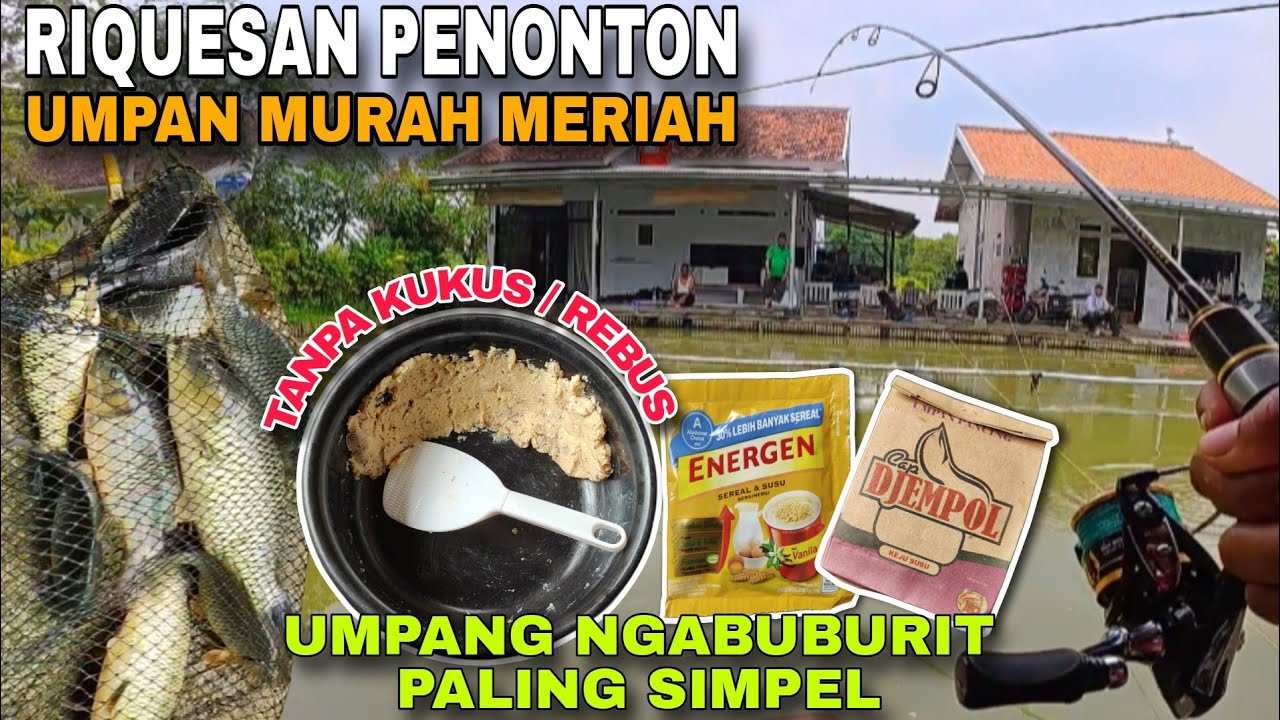 UMPAN NGABUBURIT SUPER IRIT ....‼️ UMPAN DADAKAN TANPA DI REBUS ...‼️