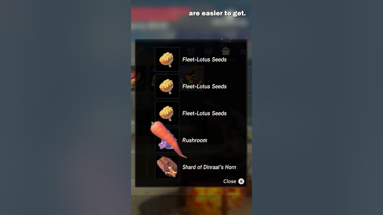 Best SPEED Dish Recipes in Zelda Breath of The Wild BotW YouTube
