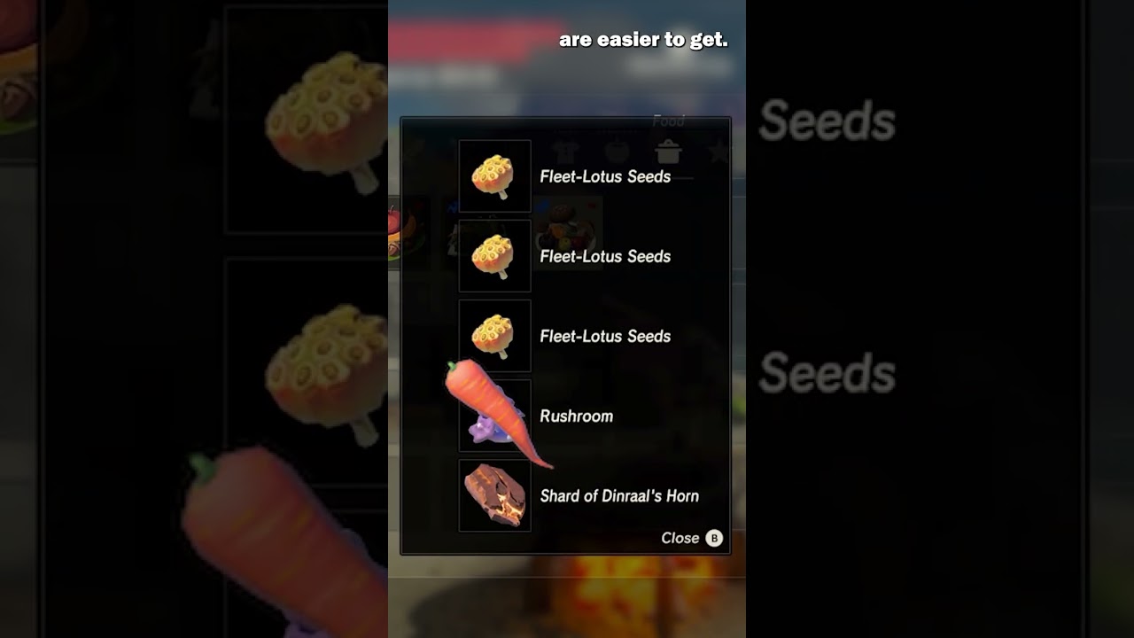 Best SPEED Dish Recipes in Zelda Breath of The Wild | BotW